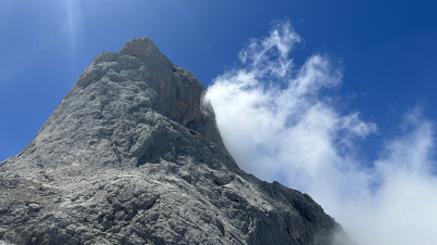 Naranjo de Bulnes Cepeda