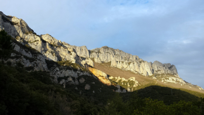 Palomares Arista