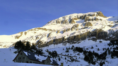 Bisaurín